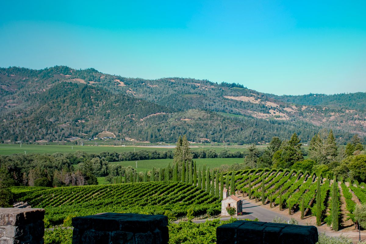 Napa Valley hills